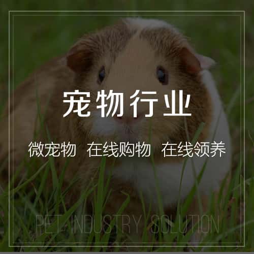 怒江傈傈族宠物