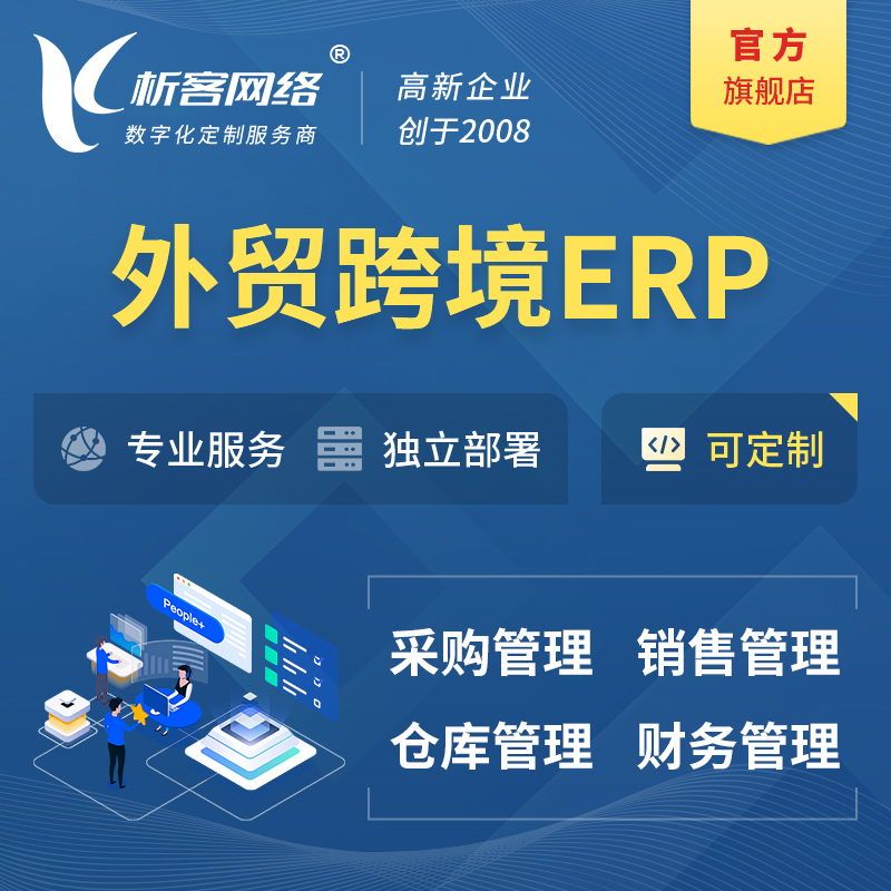 怒江傈傈族外贸跨境ERP软件生产海外仓ERP管理系统